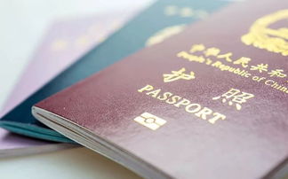 与你有关 关于护照的冷知识,你了解吗